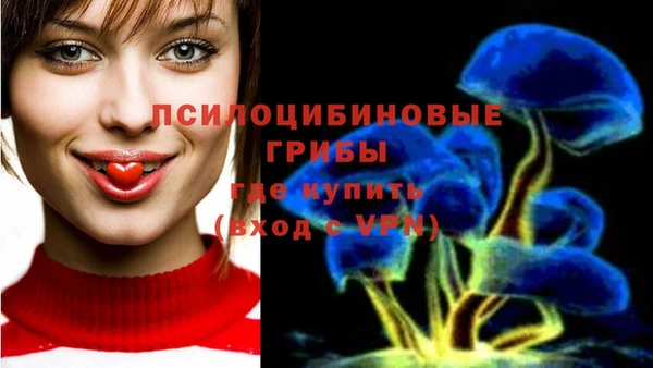 MDMA Premium VHQ Алзамай