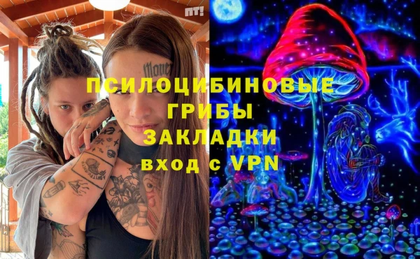 дурь Алексеевка