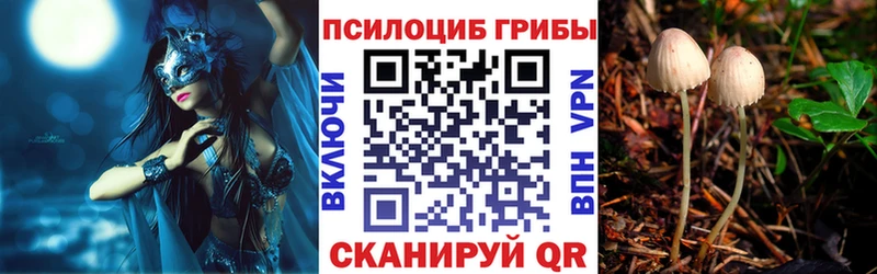 магазин  наркотиков  Сасово  Галлюциногенные грибы Psilocybe 